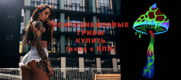 крисы Белоозёрский