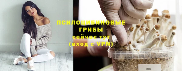 MESCALINE Белокуриха