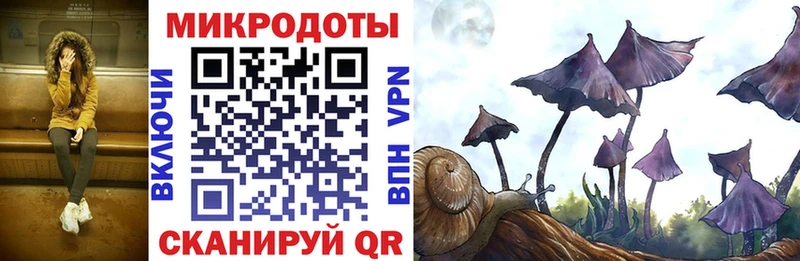 ссылка на мегу онион  Голицыно  сайты даркнета формула  Псилоцибиновые грибы мицелий 